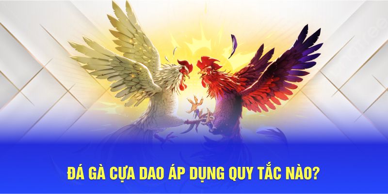 Đá gà cựa dao áp dụng quy tắc nào?