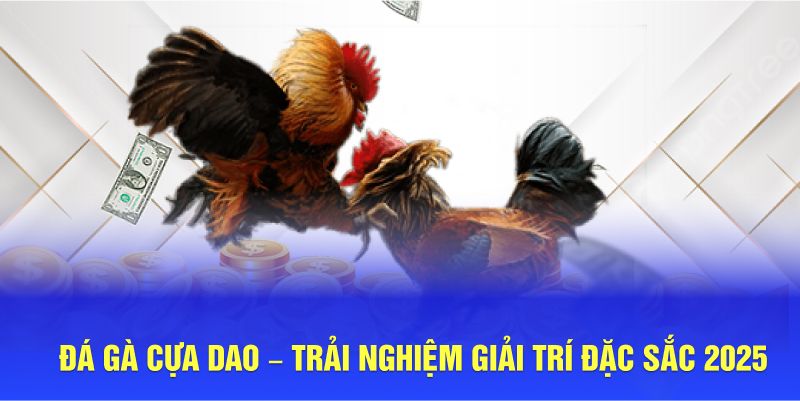 Đá Gà Cựa Dao – Trải Nghiệm Giải Trí Đặc Sắc Tại Hello88